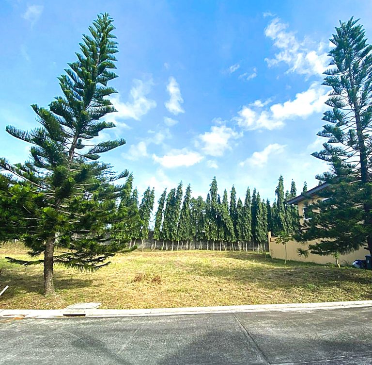 Top 7 Parks to Explore in Las Piñas City