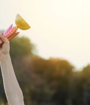 Celebrating Small Wins in Philippine Real Estate: A Path to Success